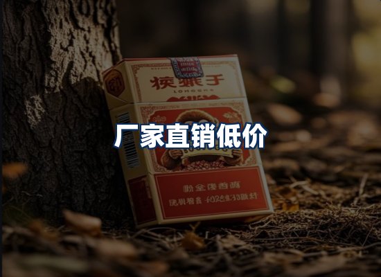 专业团队办公环境